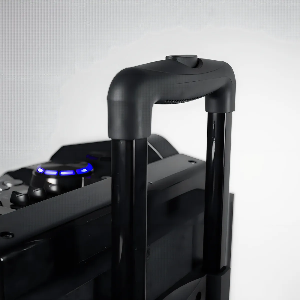 Parlante Crown Mustang DJS-1002BT con bluetooth y karaoke - Image 2